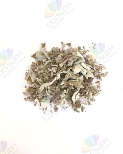 Himalayan White Sage Leaves
