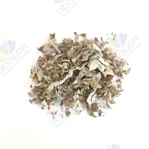 Himalayan White Sage Leaves