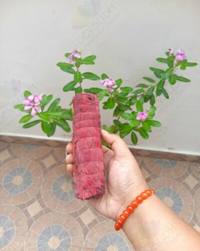 Dragon’s Blood (Red) Sage Smudge Stick
