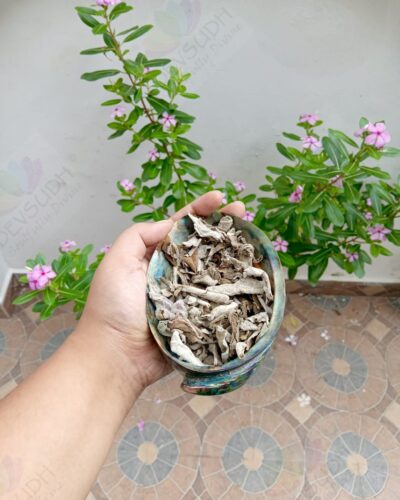 Himalayan White Sage Leaves
