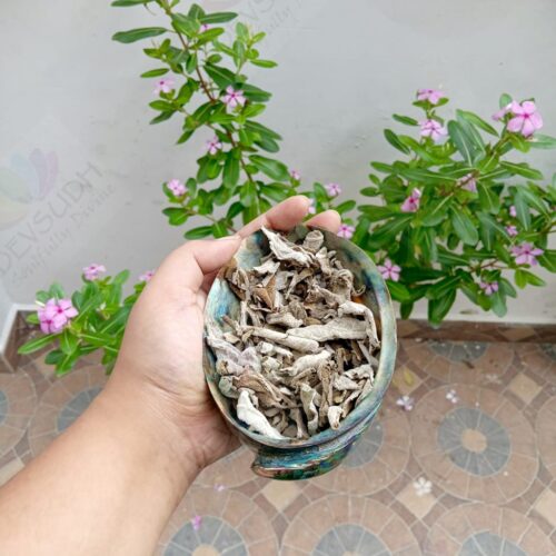 Himalayan White Sage Leaves