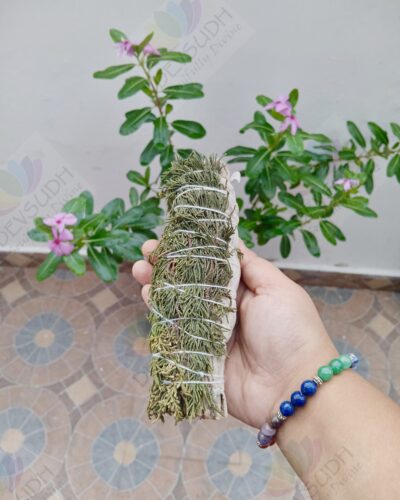 White Sage with Cedar Smudge Stick