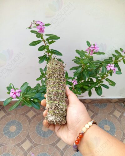 White Sage with Rosemary Smudge Stick
