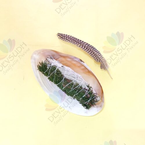 White Sage with Cedar Smudge Stick