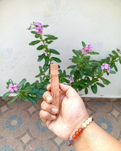Palo Santo Stick (Imported from Peru)