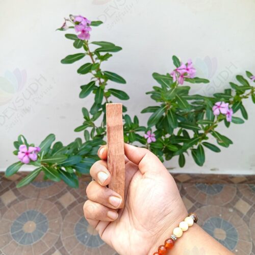 Palo Santo Stick (Imported from Peru)