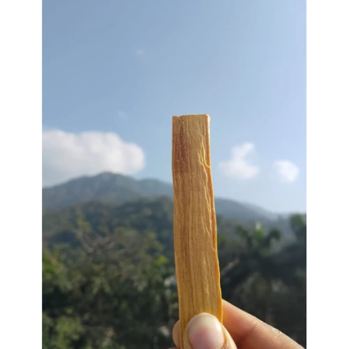 Peruvian Palo Santo Stick