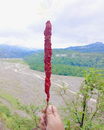 Mullein Torch/ Witch's Candle/ Hag's Taper (Dragon's Blood & Sandalwood, 12"-14")