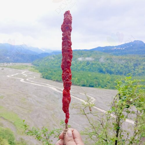 Mullein Torch/ Witch's Candle/ Hag's Taper (Dragon's Blood & Sandalwood, 12"-14")