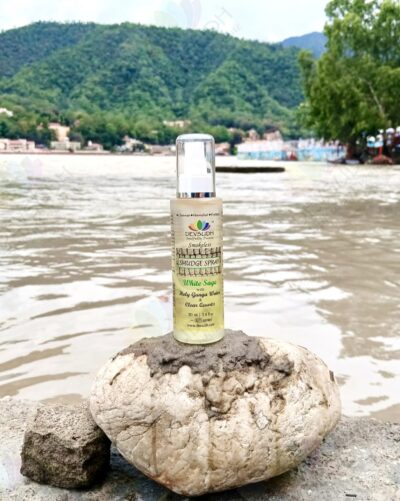 White Sage Smudge Spray (in Glass Spray Bottle)