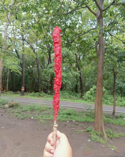 Mullein Torch/ Witch's Candle/ Hag's Taper (Dragon's Blood & Sandalwood, 12"-14")