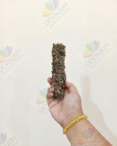 Himalayan Mugwort (Black Sage) Smudge Stick
