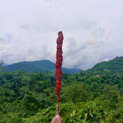 Mullein Torch/ Witch's Candle/ Hag's Taper (Dragon's Blood & Sandalwood, 12"-14")