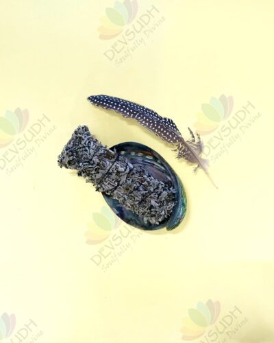 White Sage with Mugwort Smudge Stick