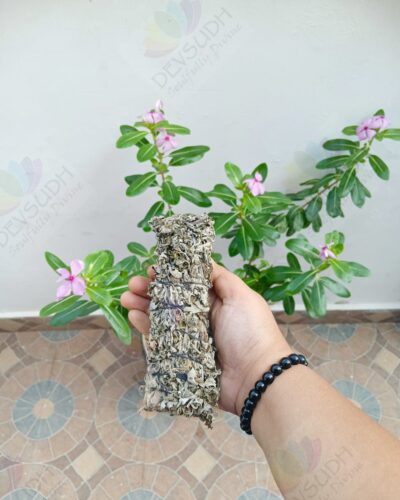 White Sage with Mugwort Smudge Stick