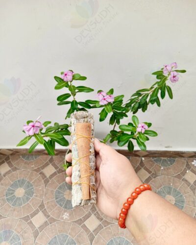 White Sage with Cinnamon Smudge Stick