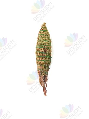 Juniper Smudge Stick (Rare Tibetan)