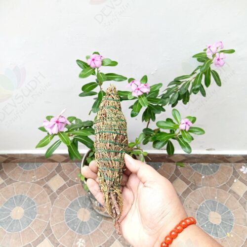 Juniper Smudge Stick (Rare Tibetan)