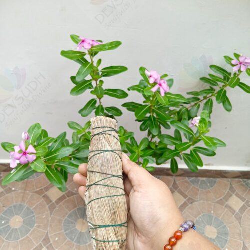 White Sage with Pine Smudge Stick
