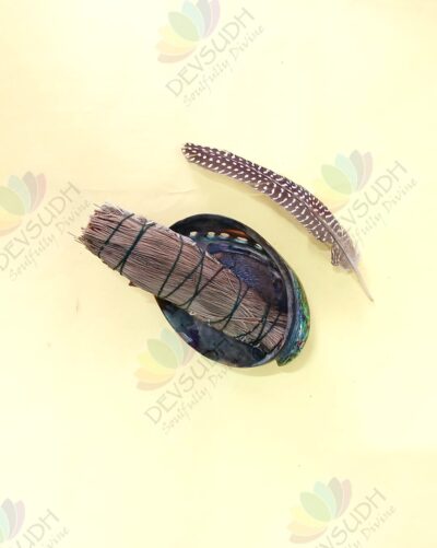 White Sage with Pine Smudge Stick
