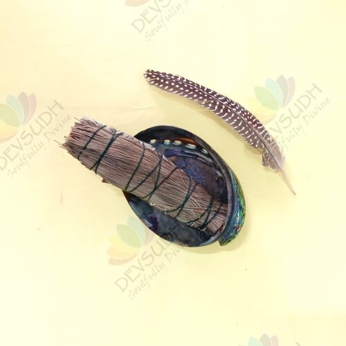 White Sage with Pine Smudge Stick