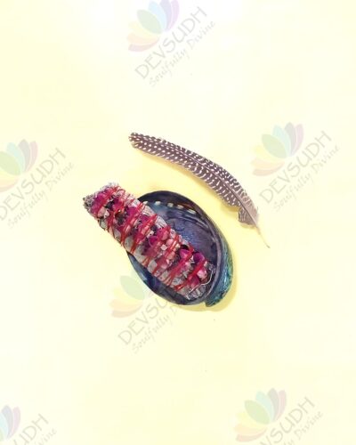 White Sage with Rose Buds Smudge Stick