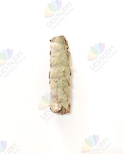 White Sage with Eucalyptus Smudge Stick