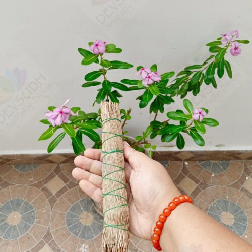 Pine Smudge Stick
