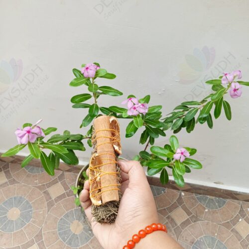 Himalayan Cedar with Orange & Cinnamon Smudge Stick