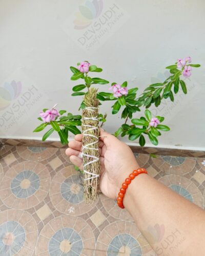 Rosemary Smudge Stick (Kashmiri)