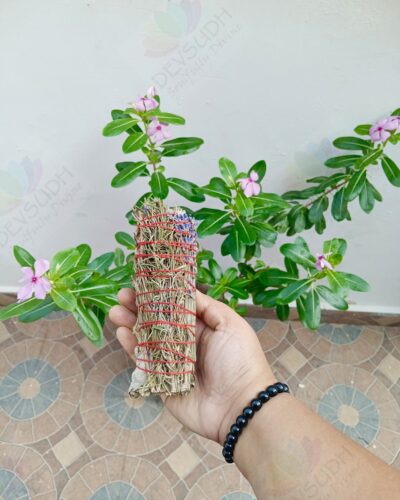 White Sage with Rosemary & Lavender Smudge Stick