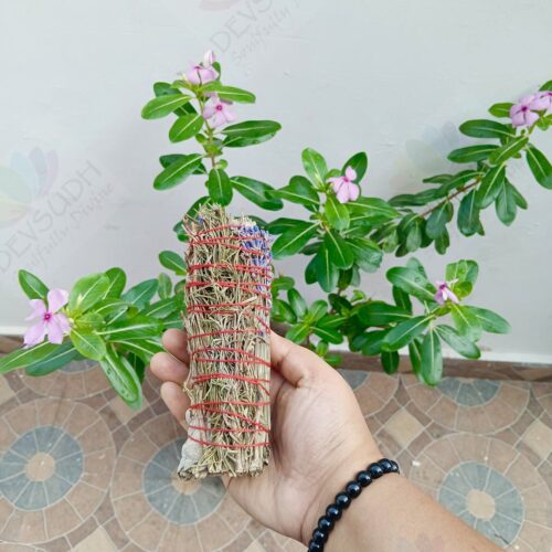 White Sage with Rosemary & Lavender Smudge Stick