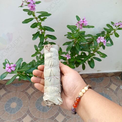 White Sage with Eucalyptus Smudge Stick