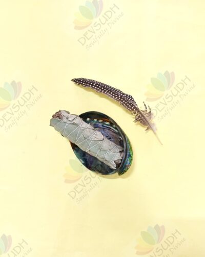 White Sage with Eucalyptus Smudge Stick