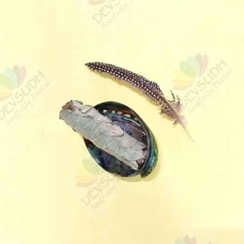 White Sage with Eucalyptus Smudge Stick