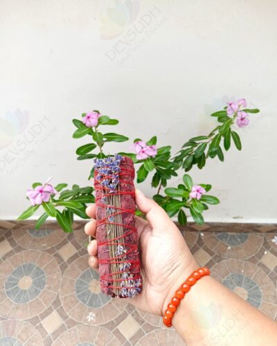 Dragon’s Blood Sage with Lavender Smudge Stick