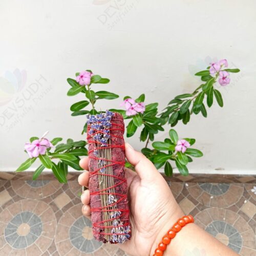 Dragon’s Blood Sage with Lavender Smudge Stick