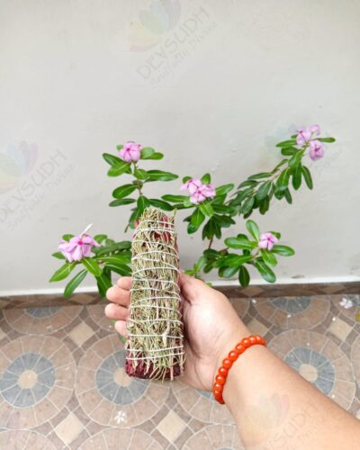Dragon’s Blood Sage with Rosemary Smudge Stick