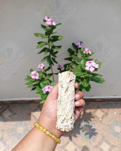 California White Sage Smudge Stick