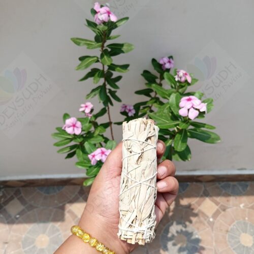 California White Sage Smudge Stick