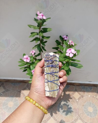 California White Sage with Lavender Smudge Stick