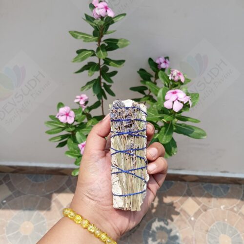 California White Sage with Lavender Smudge Stick