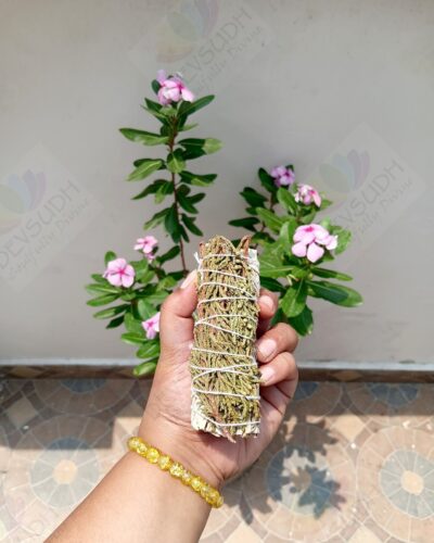California White Sage with Juniper Smudge Stick
