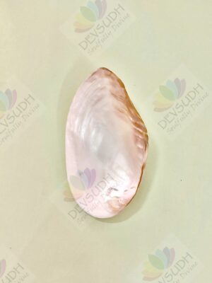 Mother of Pearl Shell (Premium, Polished)