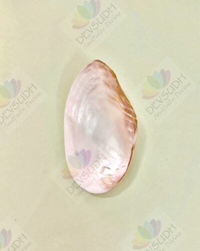 Mother of Pearl Shell (Premium, Polished)