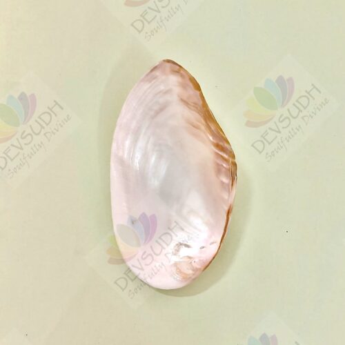 Mother of Pearl Shell (Premium, Polished)