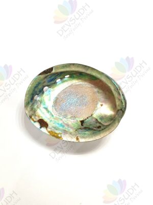 Abalone shell | New Zealand Pāua shell (AAA grade, Polished)