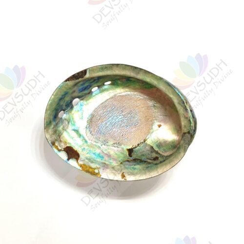 Abalone shell | New Zealand Pāua shell (AAA grade, Polished)