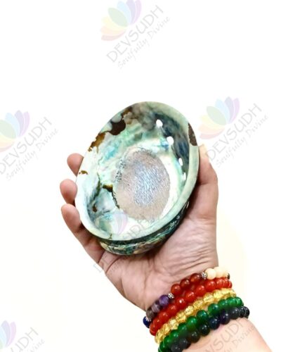 Abalone shell | New Zealand Pāua shell (AAA grade, Polished)