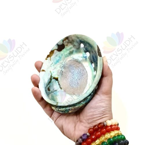 Abalone shell | New Zealand Pāua shell (AAA grade, Polished)